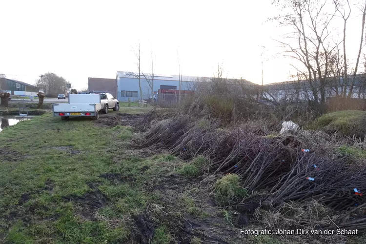 Bomenbezorgdienst Plan Boom gaat Fryslân vergroenen