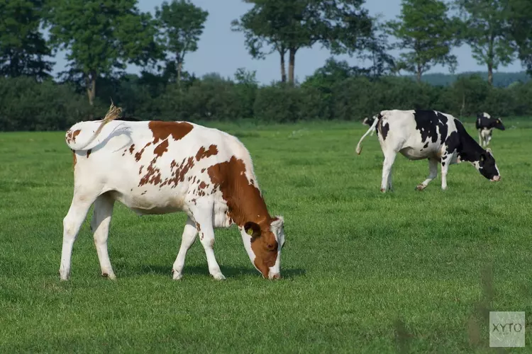 Provincie Fryslân ziet kansen voor Greidhoeke als Bioregio