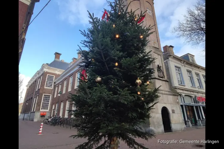 Uitslag kerstboominzameling 2025